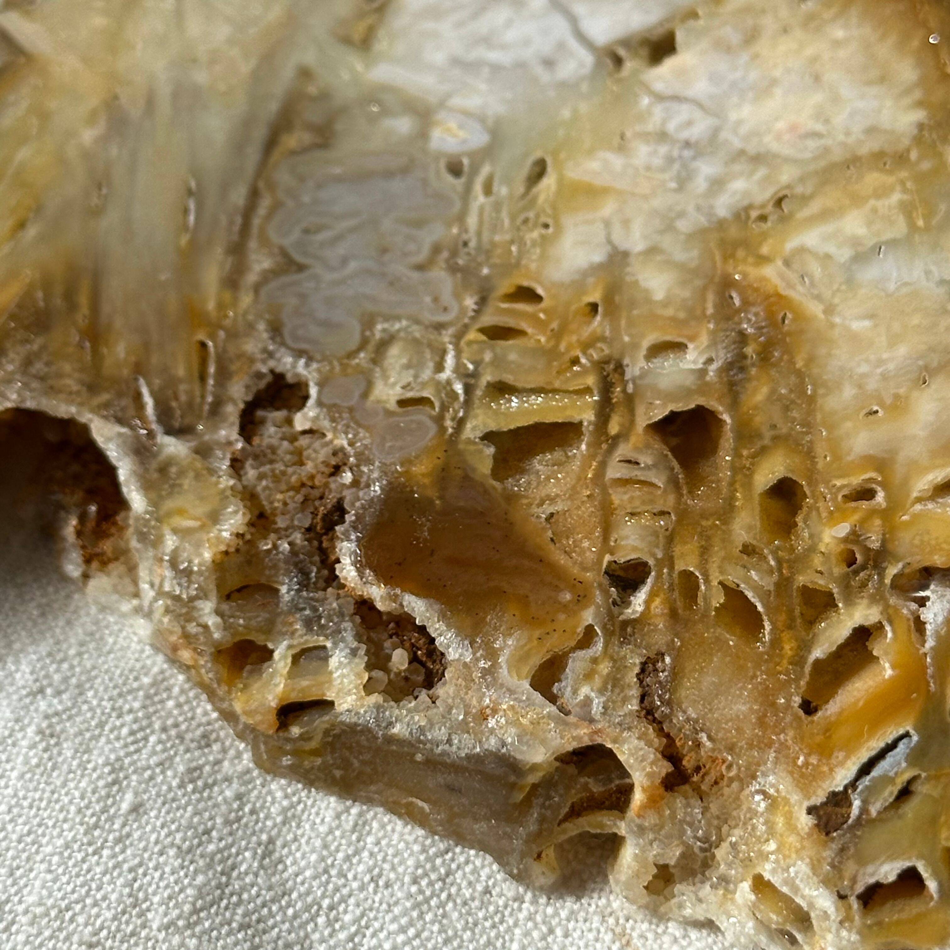 瑪瑙】アゲート スライス — 自然が描いた層のアート — シリカ化