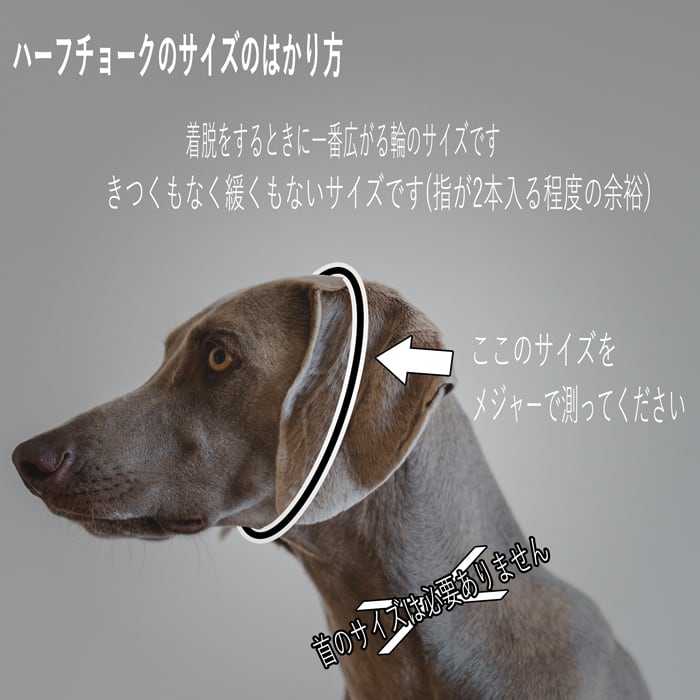 サイトハウンド クッション入り幅広ハーフチョーク 55㎜幅 25㎝~57 サイトハウンド クッション入り幅広ハーフチョーク 55㎜幅 25㎝~57
