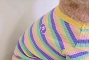 即納【Freddie Tale】Jelly stripe All-in-one(rainbow)Lサイズ