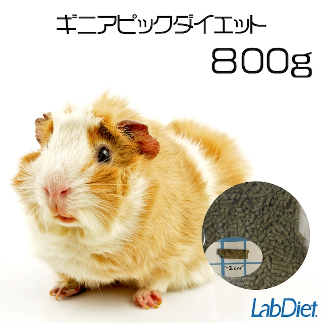 ギニアピックダイエット 800g