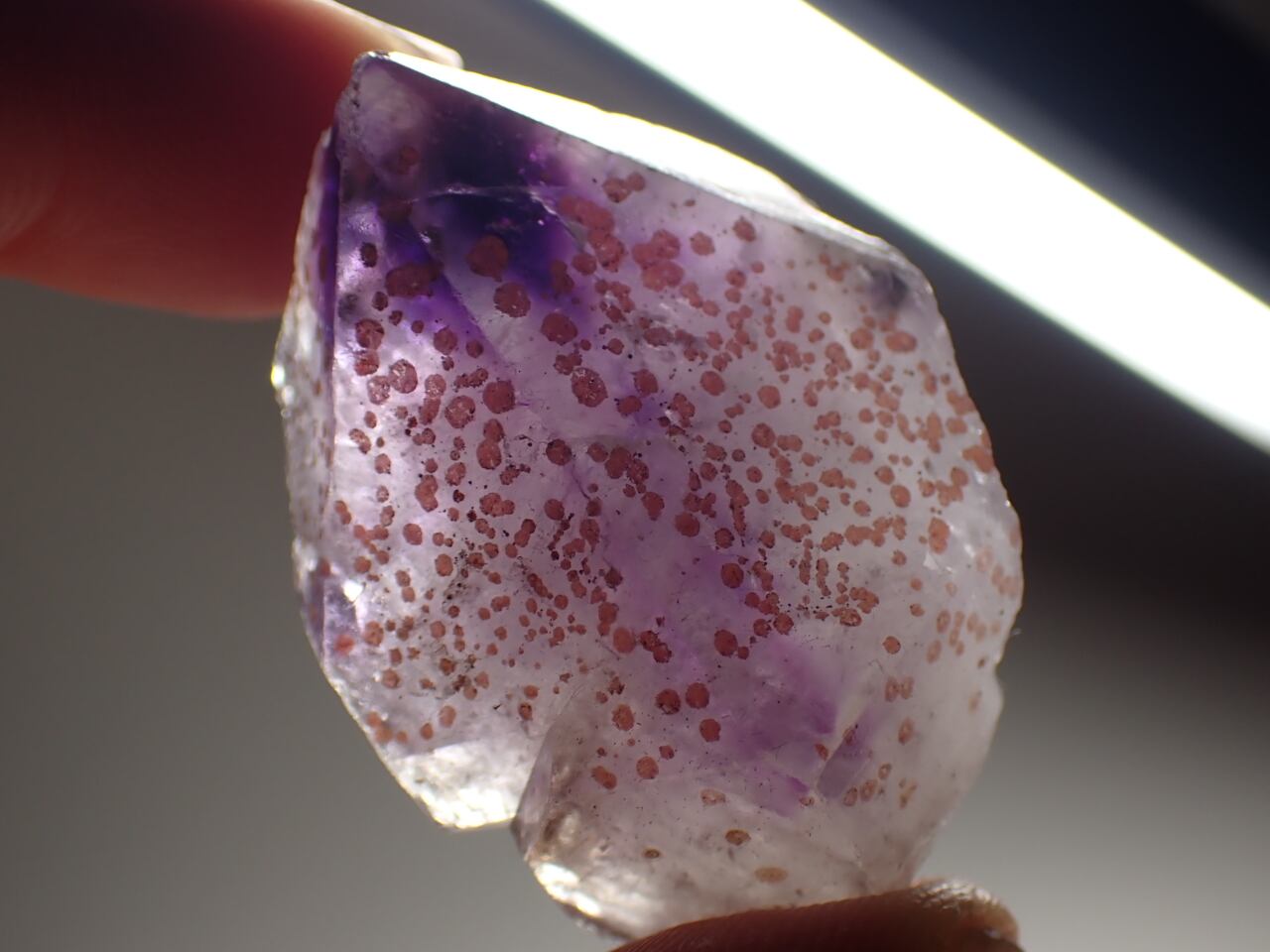 韓国 彦陽産 アメジスト/Amethyst 原石 A-AME489 | 鉱物・天然石のお店
