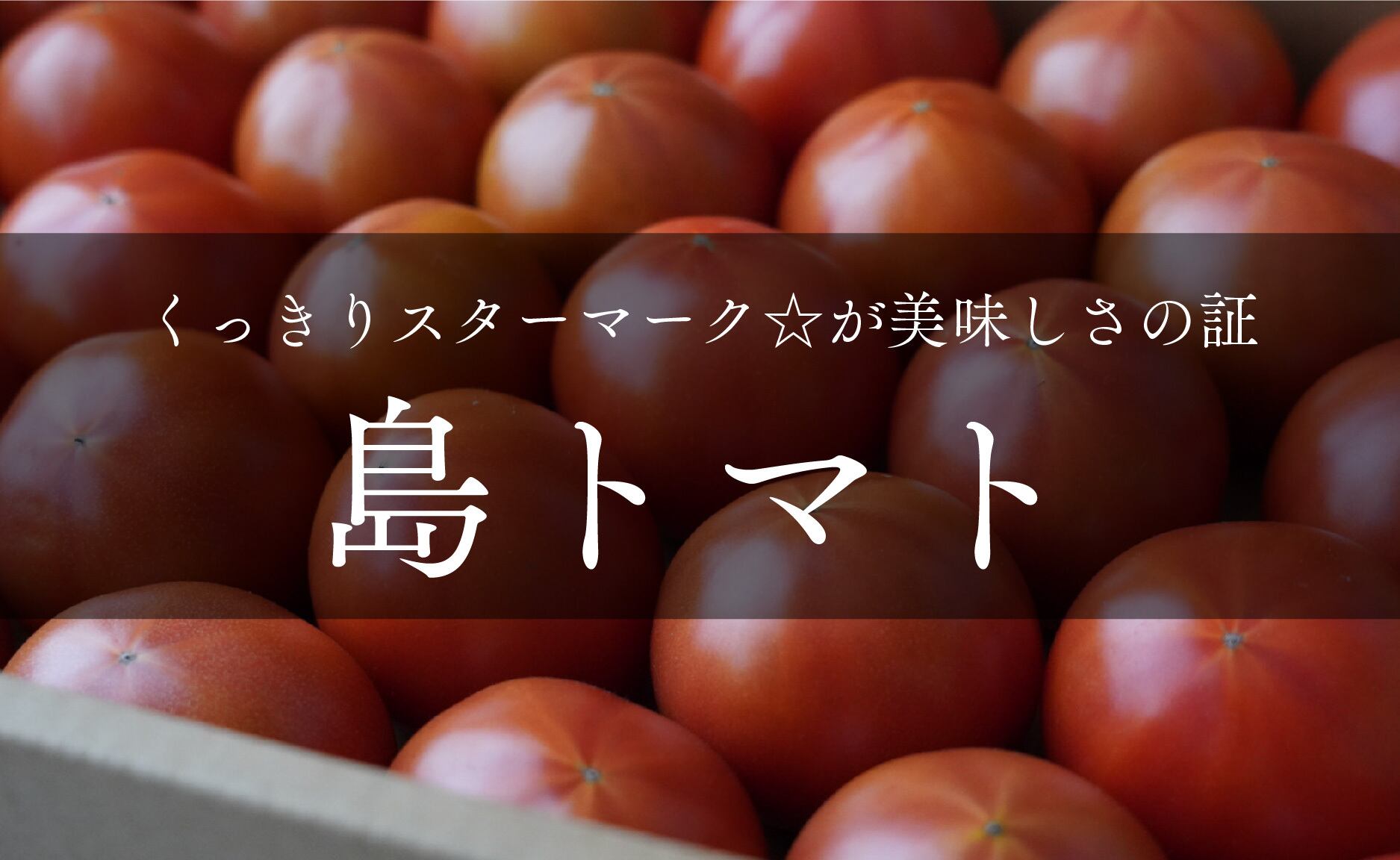 スター☆マークの島トマト 1箱（約2.5kg） | わらしべ。