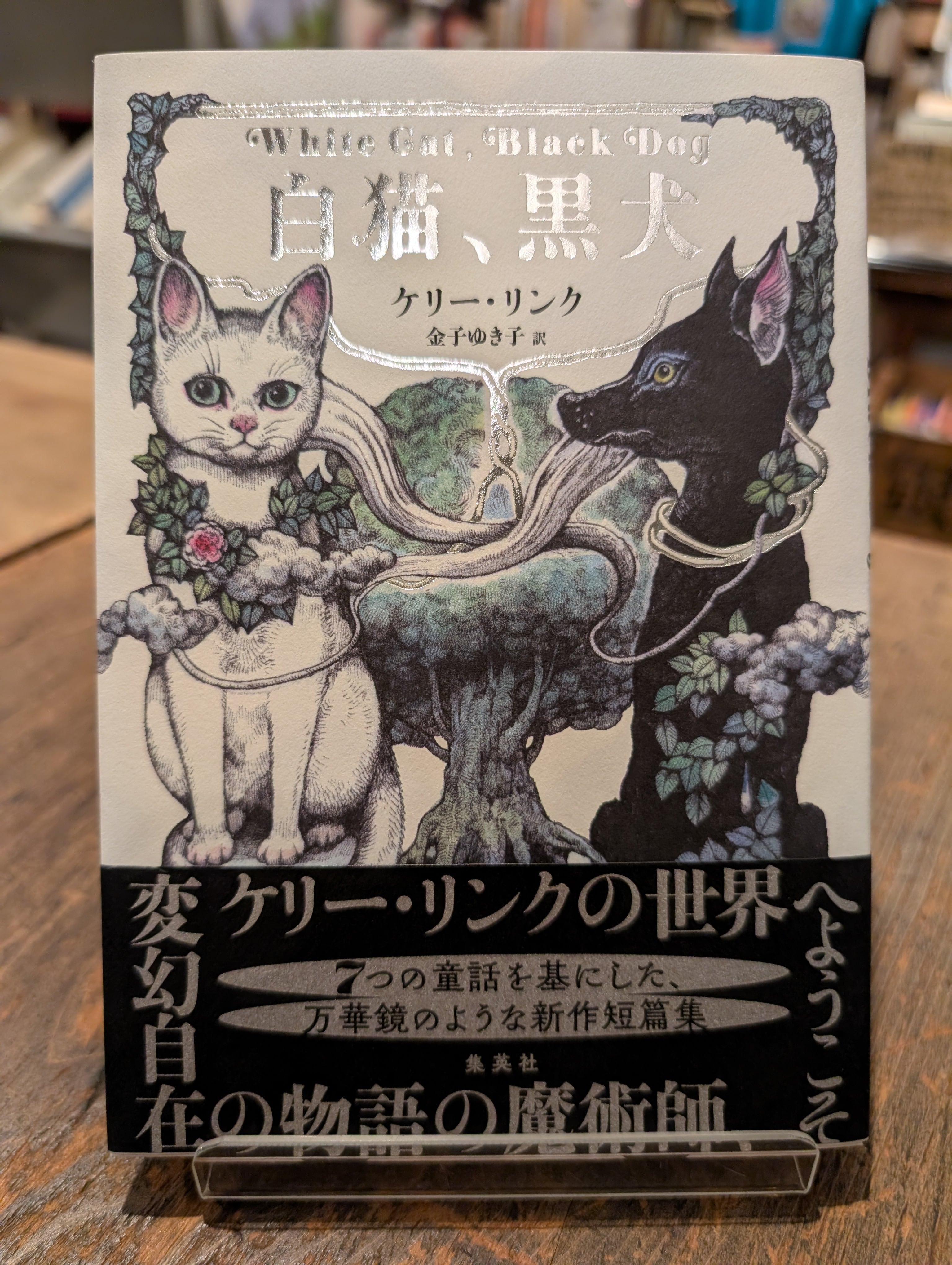 ラッコー霧多布で生まれたA子の物語 | adanonki アダノンキ