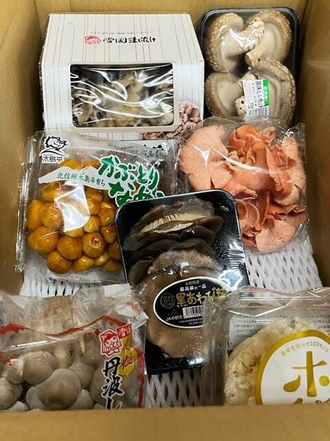 秋のきのこセット（約5〜6種類） | dreamkeinomi