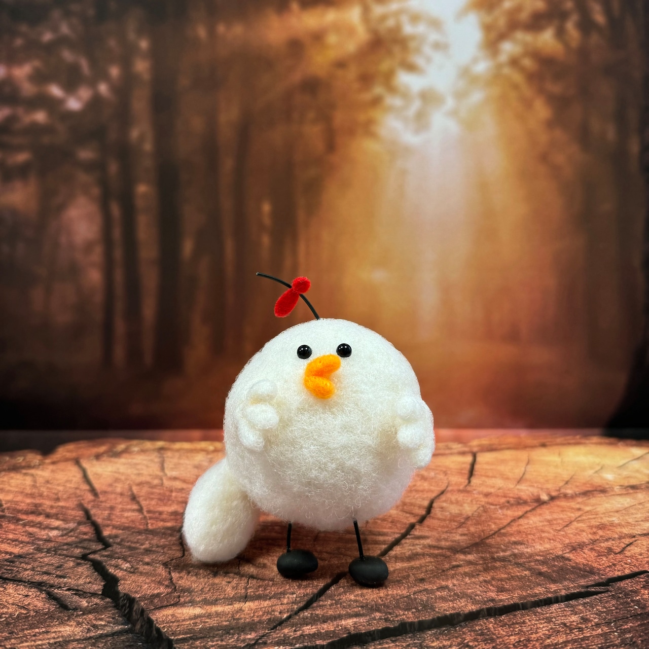 ドラマティックフォレスト