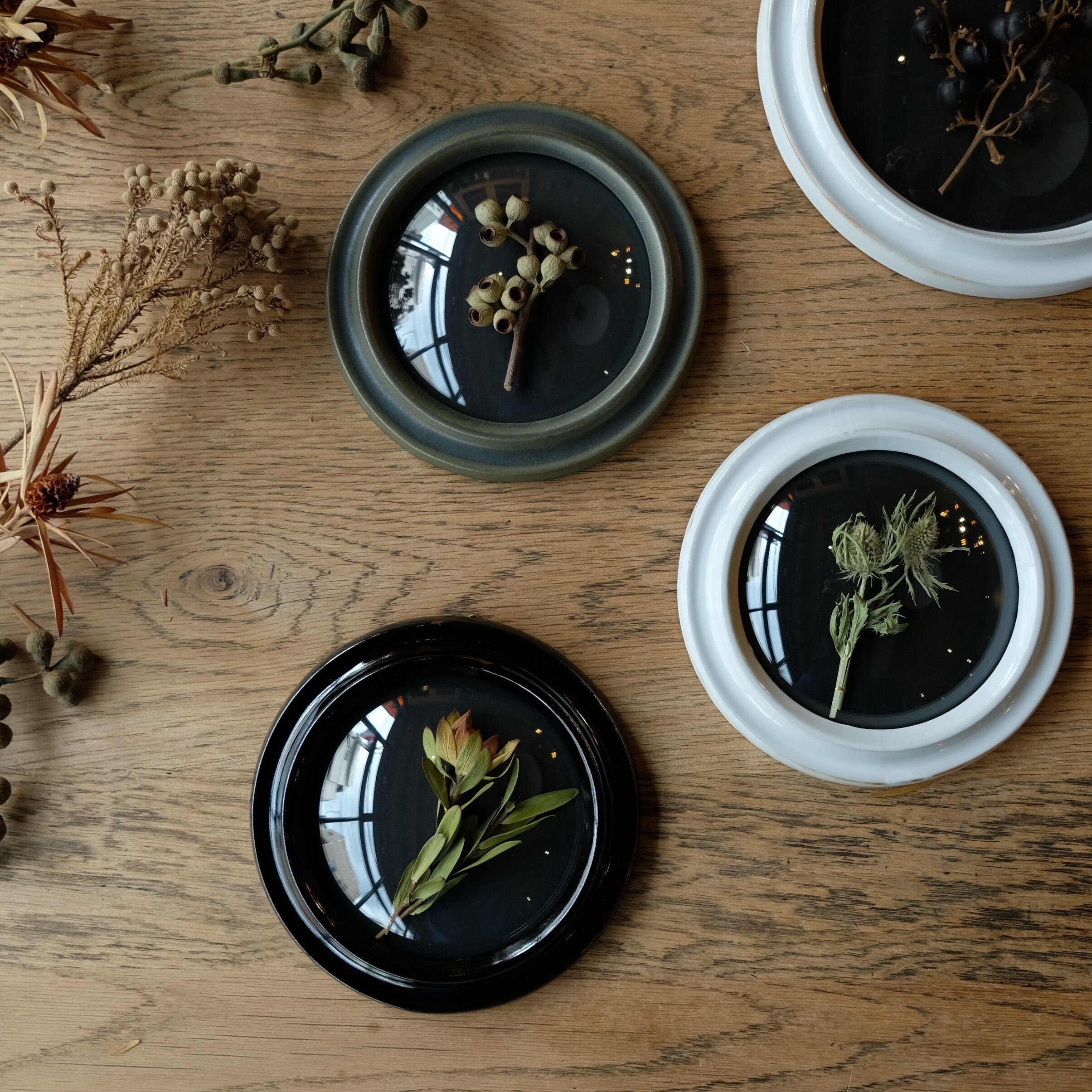 Convex Glass Case DF (S) | WEST VILLAGE TOKYO