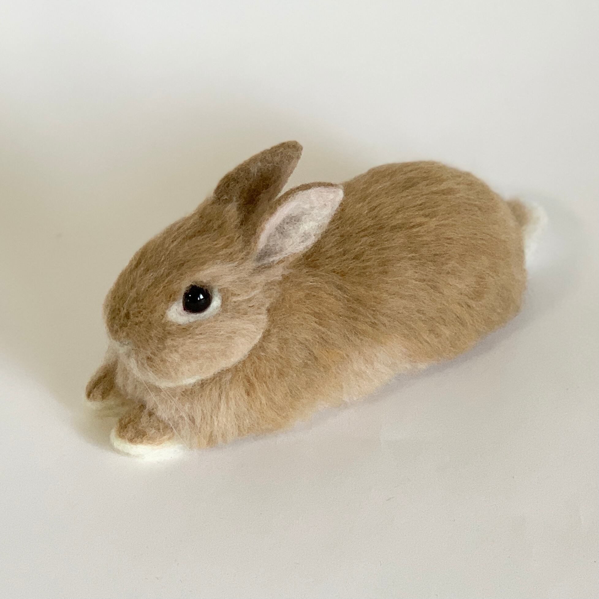 日本最大のブランド 羊毛フェルト うさぎ カフェラテ ネザーランドドワーフ おもちゃ 人形 趣味 おもちゃ 10 768 Tecnologia Usfx Bo
