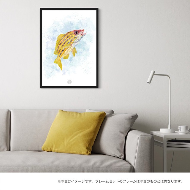 【海のいきものアートポスター／魚】ヨスジフエダイ