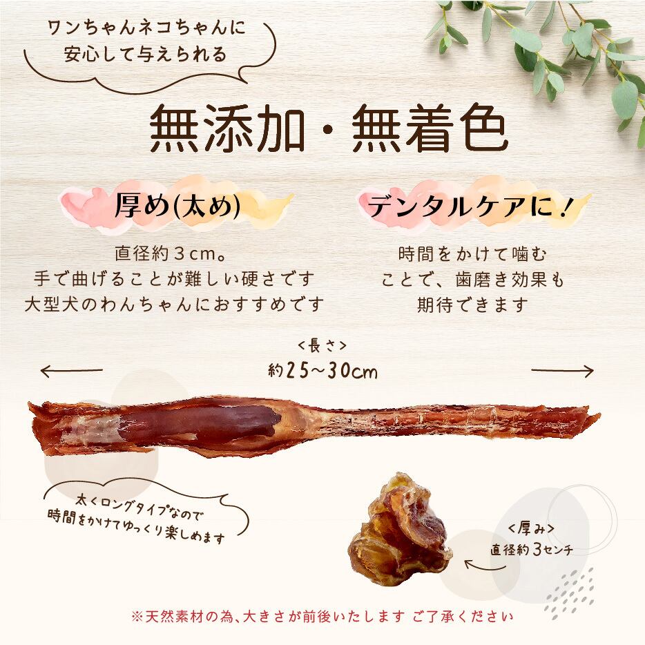 馬アキレス ロング 【厚め】 2本 ＜ポストイン＞【 国内生産 無添加 無
