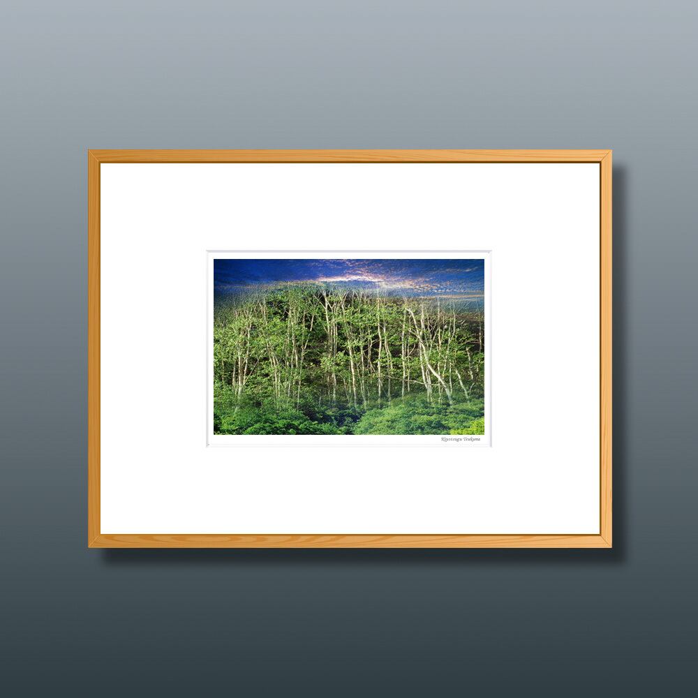 森の扉 #14 ■額縁サイズ(八切判)303㎜×242㎜