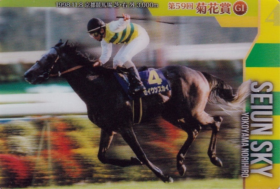 第9回ジャパンカップ：ホーリックス(Dream)「The Victory 2000」R-24