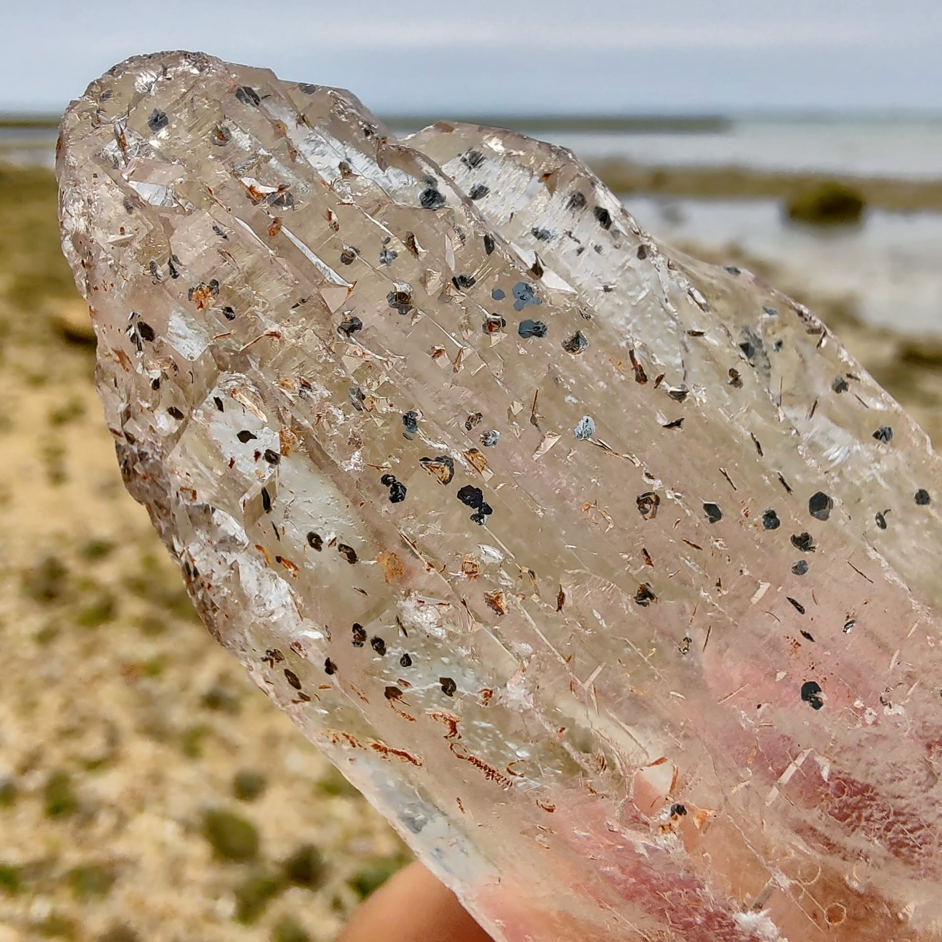 スケルタルクォーツ(SkeletalS Quartz)/ マイカ(雲母) / ライモナイト