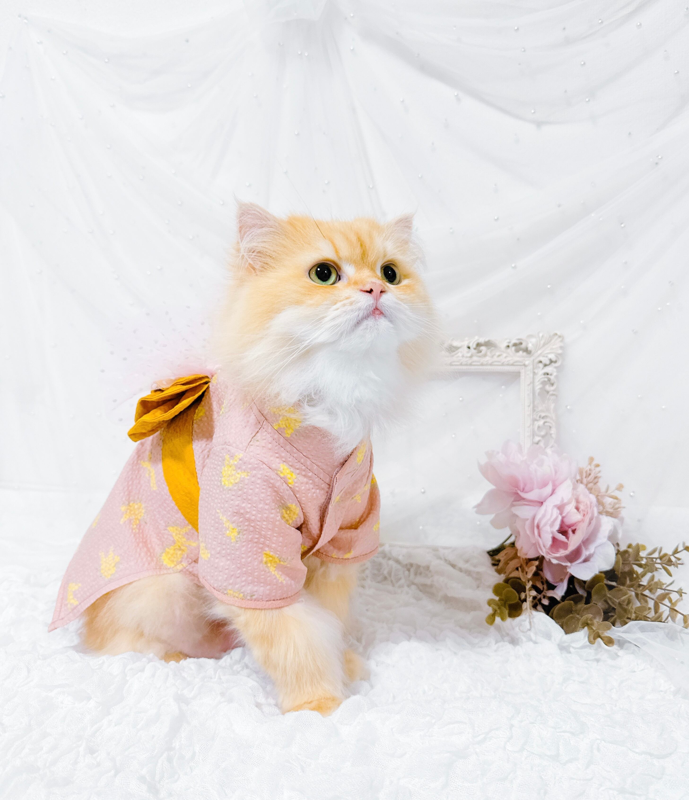 着物・浴衣 mimosa Yukata Mimosa（ミモザの浴衣） | plumecat
