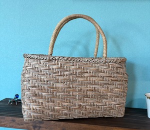 トウツルモドキのバック