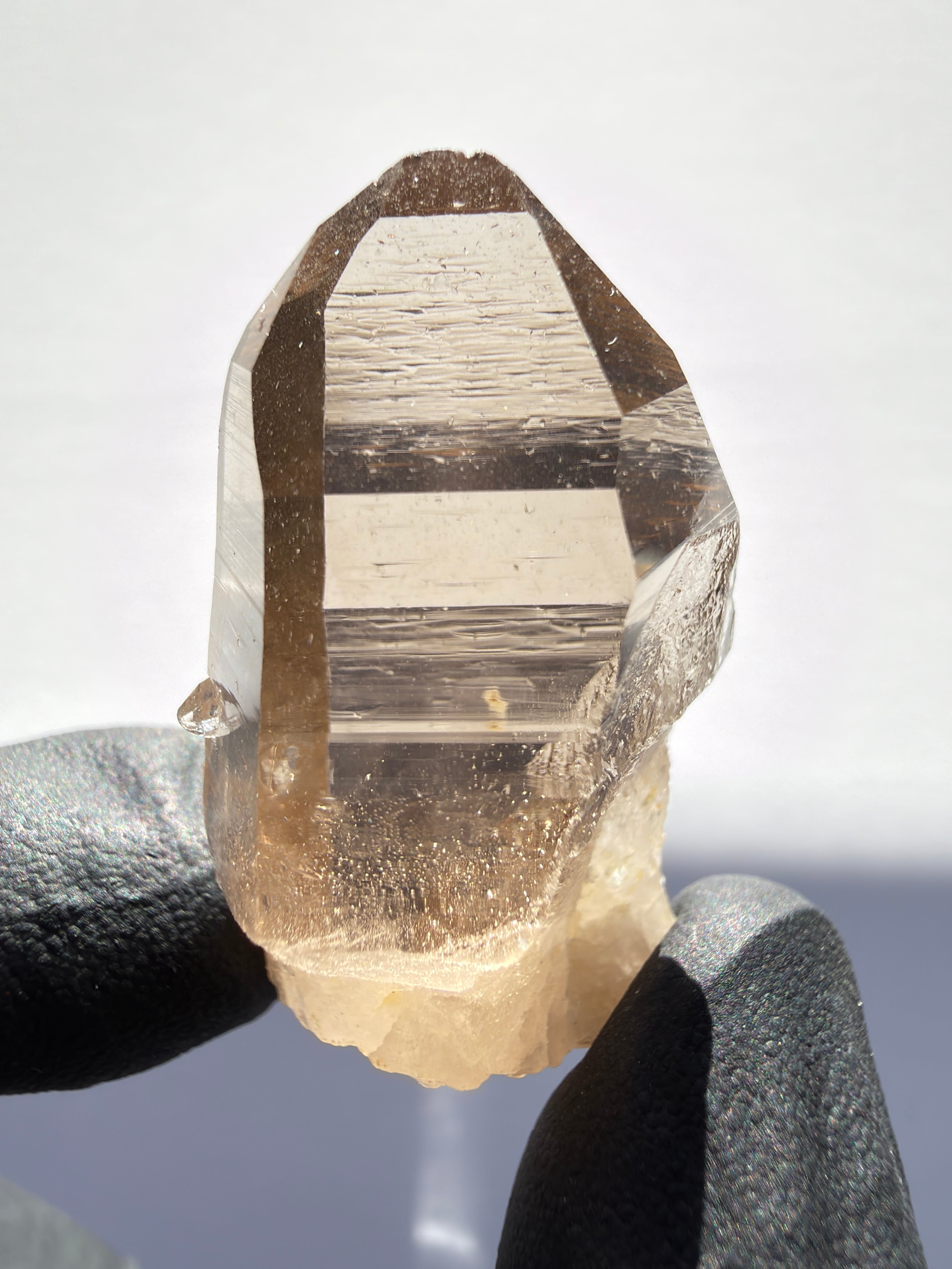 レコードキーパー | アトリエ セドナ