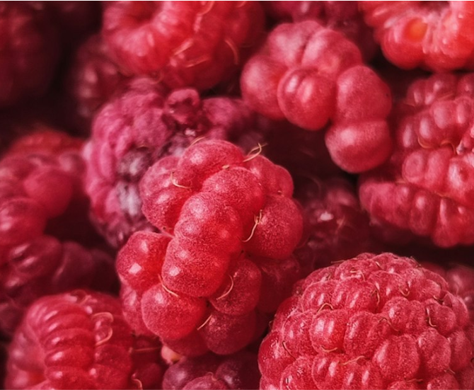 ラズベリー&レモン◇110g瓶 : 6個まで宅急便コンパクト発送