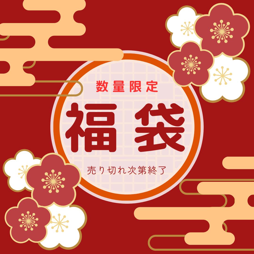 限定値引き！！新品 ワンピース ヴェログラツィア 高級｜レディース