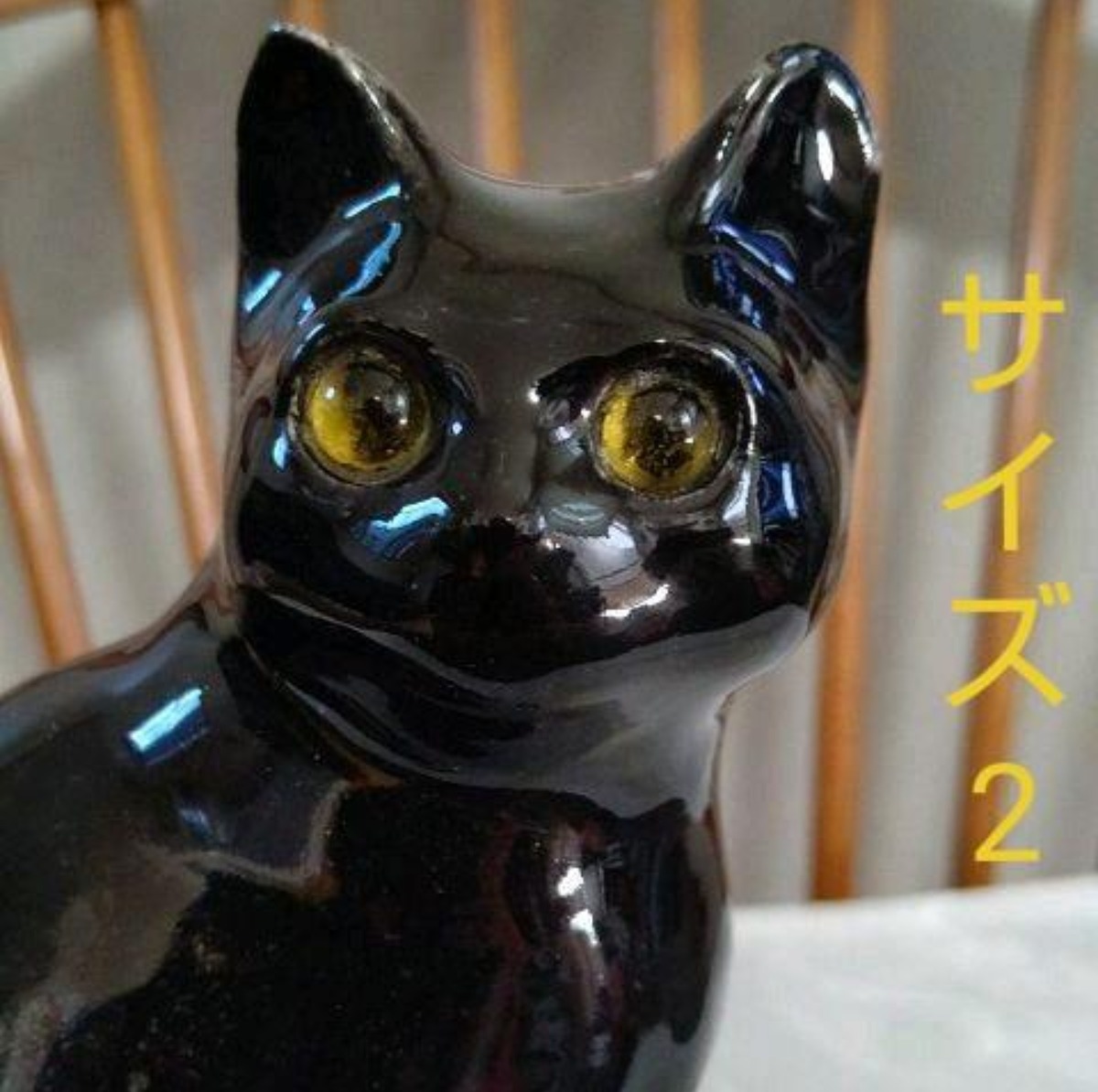 SOLD OUT / 綺麗な眼！ウィンスタンレイキャット(ケンジントン