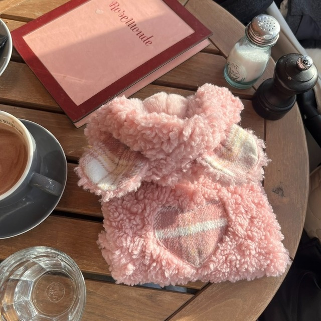 【予約】[Hi yeboo] Teddy Vest (Pink)