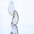 Snowmelt Forest - アゲートヒーリングチャイム / Agate Sun Catcher Wind Chime 377