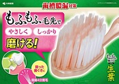 生葉(しょうよう) もふもふ磨けるブラシ 歯ブラシ レギュラーヘッド やわらかめ 1本 歯槽膿漏対策
