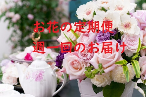 お花の定期便（毎週）2000円