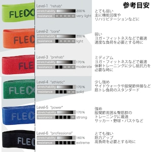 FLEXVIT MINI-フレックスヴィット ミニバンド（R）-60cm