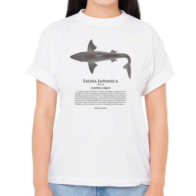 【ツノザメ】シーボルトコレクション魚譜Tシャツ（高解像・昇華プリント）
