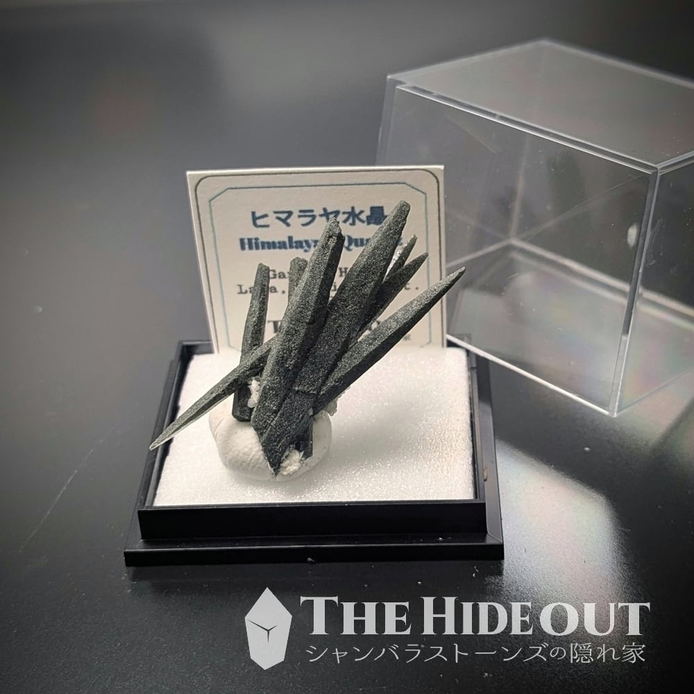 ヒマラヤ水晶オールドストック原石標本032 盆栽を愛でる趣あり、芸術的