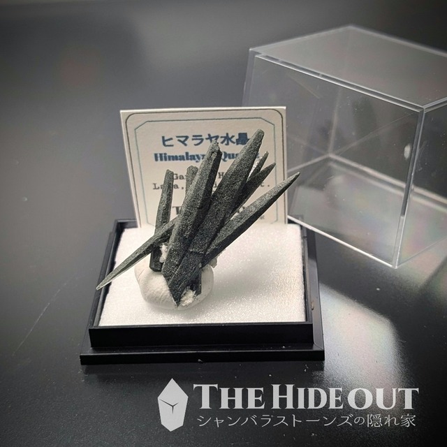 ヒマラヤ水晶オールドストック原石標本032 盆栽を愛でる趣あり、芸術的クローライトクラスター