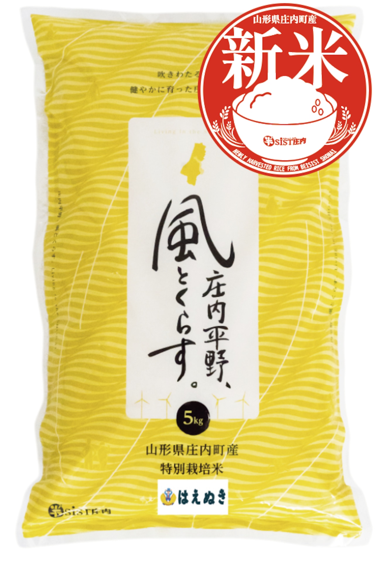 はえぬき 20kg 中米 業務米 新米 山形