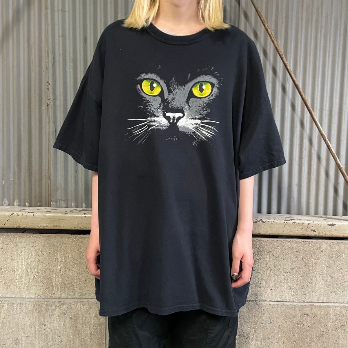 ビッグサイズ 黒猫 アニマル プリントTシャツ メンズ2XL 古着 動物 