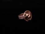 Dear Tiger  ~親愛なる虎~ RING "THE COPPER COLLECTION"