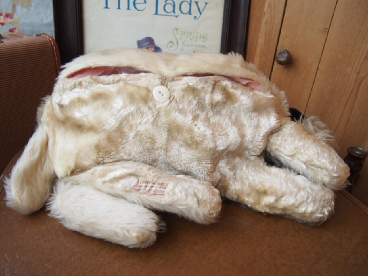 イギリスアンティーク 犬のパジャマケース | Bonny Bee