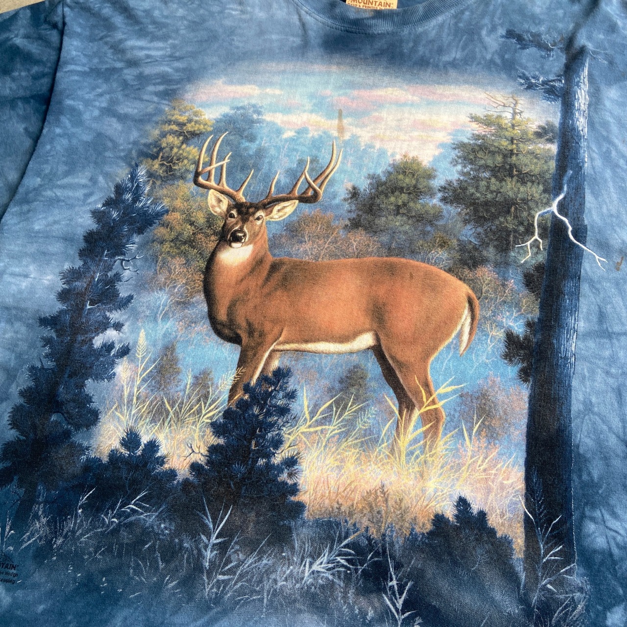 00年代 THE MOUNTAIN 鹿 タイダイ 動物 アニマルTシャツ メンズXL 古着 