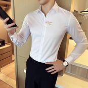 embroidered formal shirt tops 00264