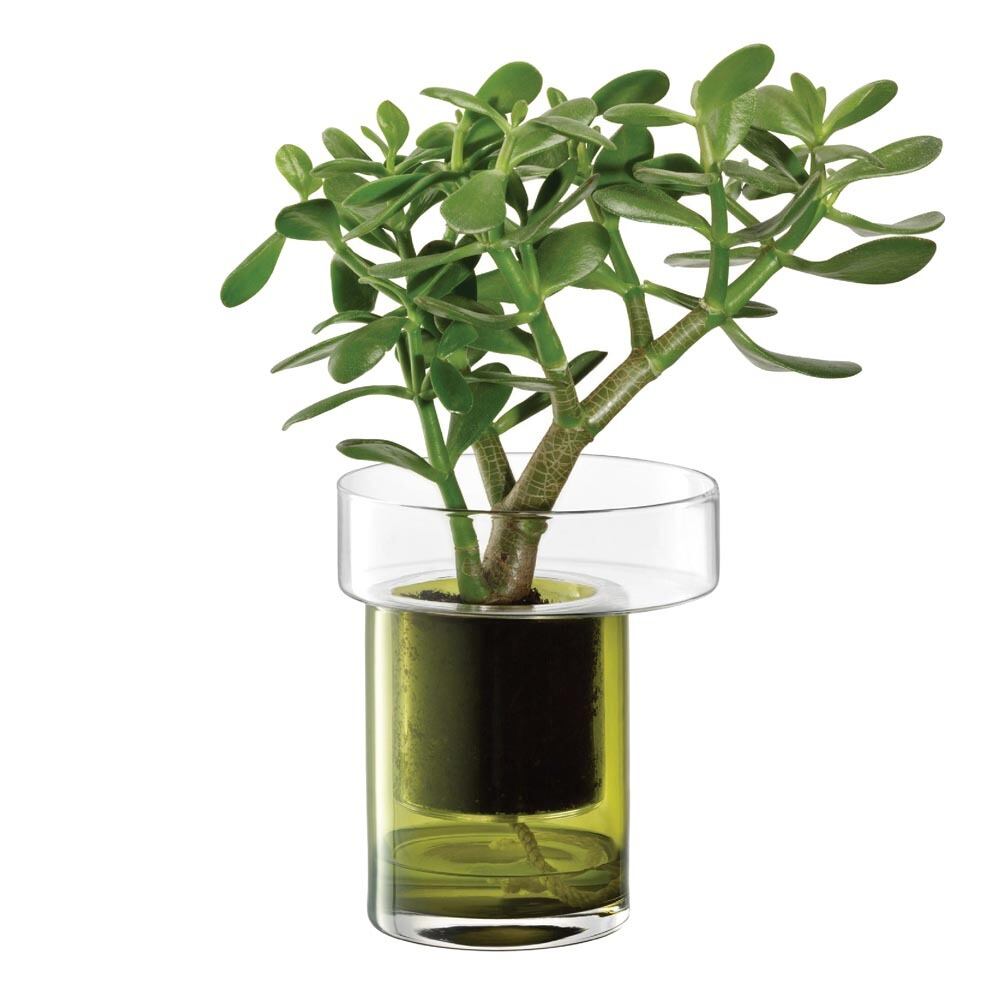 LSA エルエスエー ガラス プランター Balcony Self Watering Planter G1767-19-414 オリーブグリーン LBD01 / 花器 花瓶 フラワーベース ガラス自己給水