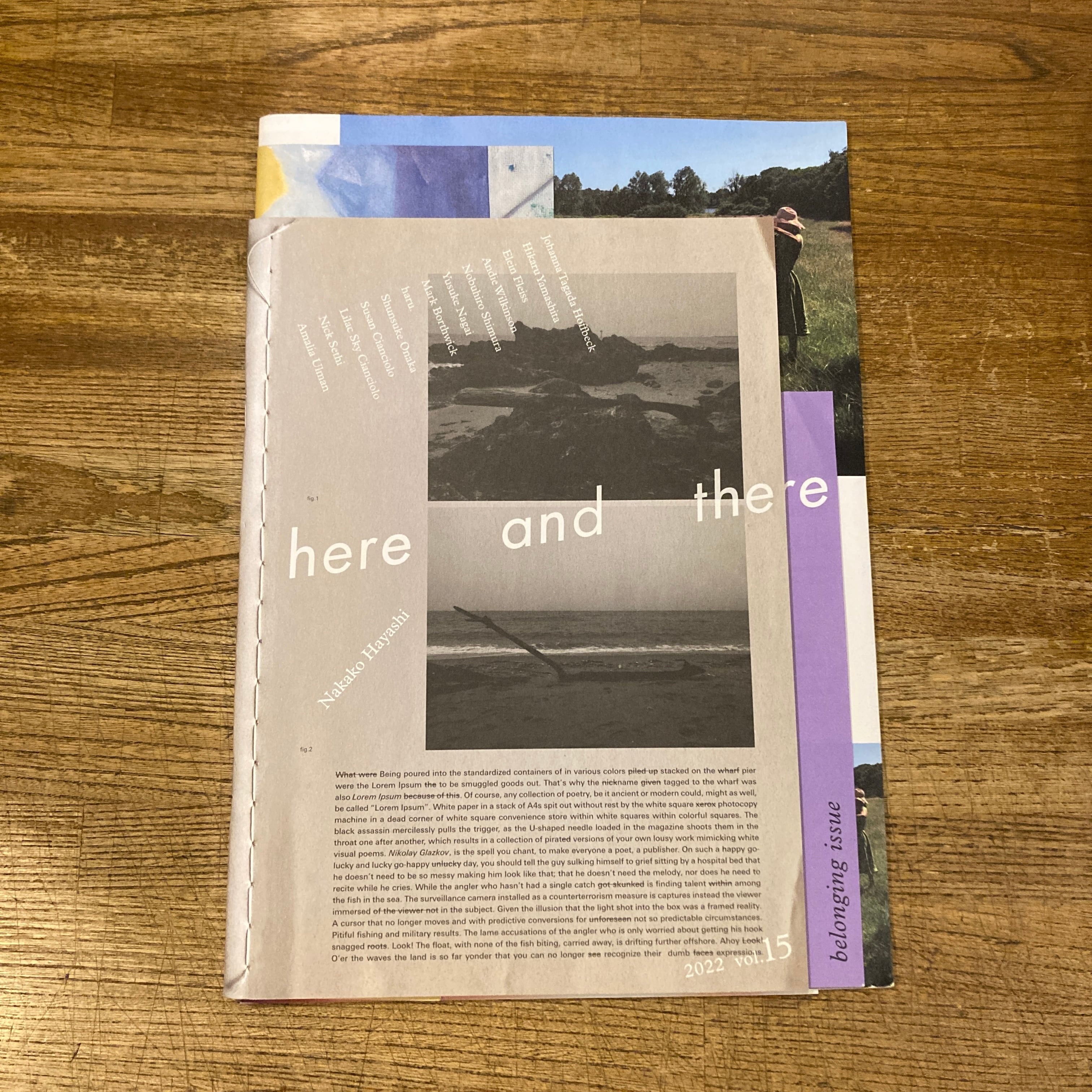 River Bed: hysteric vol.7 / Osamu Wataya 綿谷修 | 百年