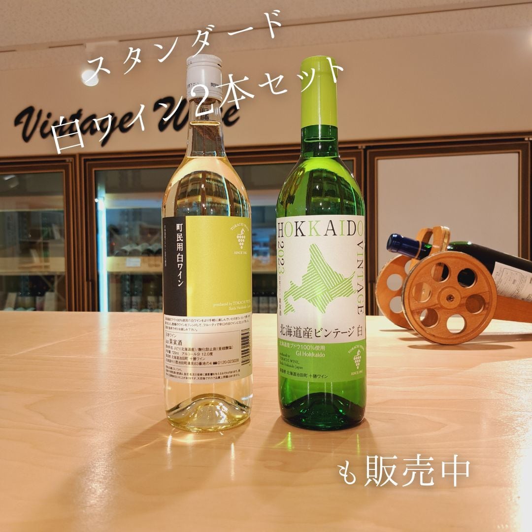 辛口 白ワイン2本セット