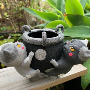 3匹　しがみつき　猫Pot（鉢）モノクロちゃん