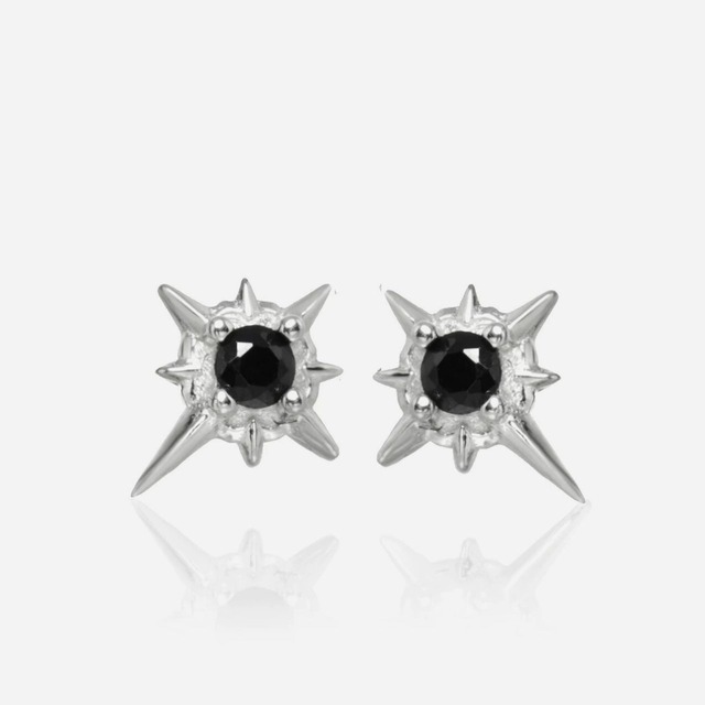 Star design earrings C0470