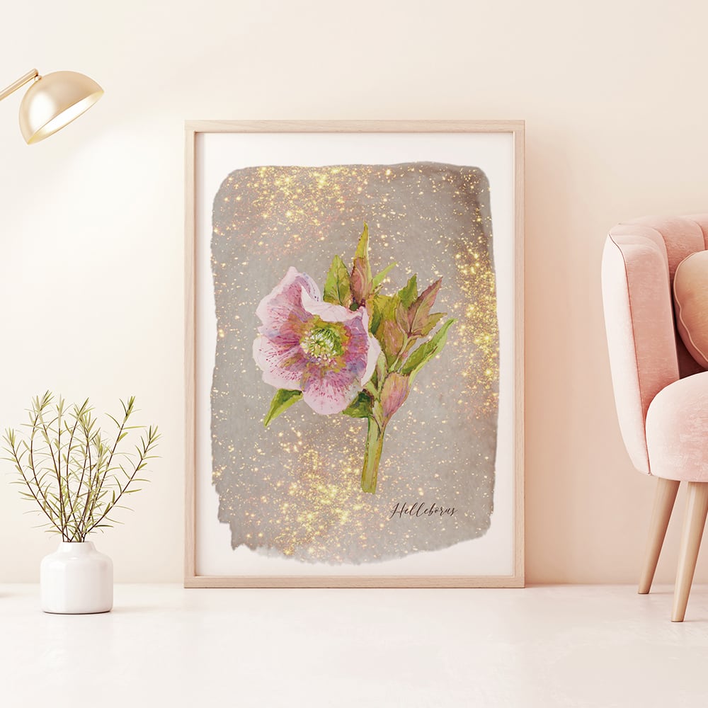 クリスマスローズのポスター / i1119 / 冬から春の花 ボタニカル