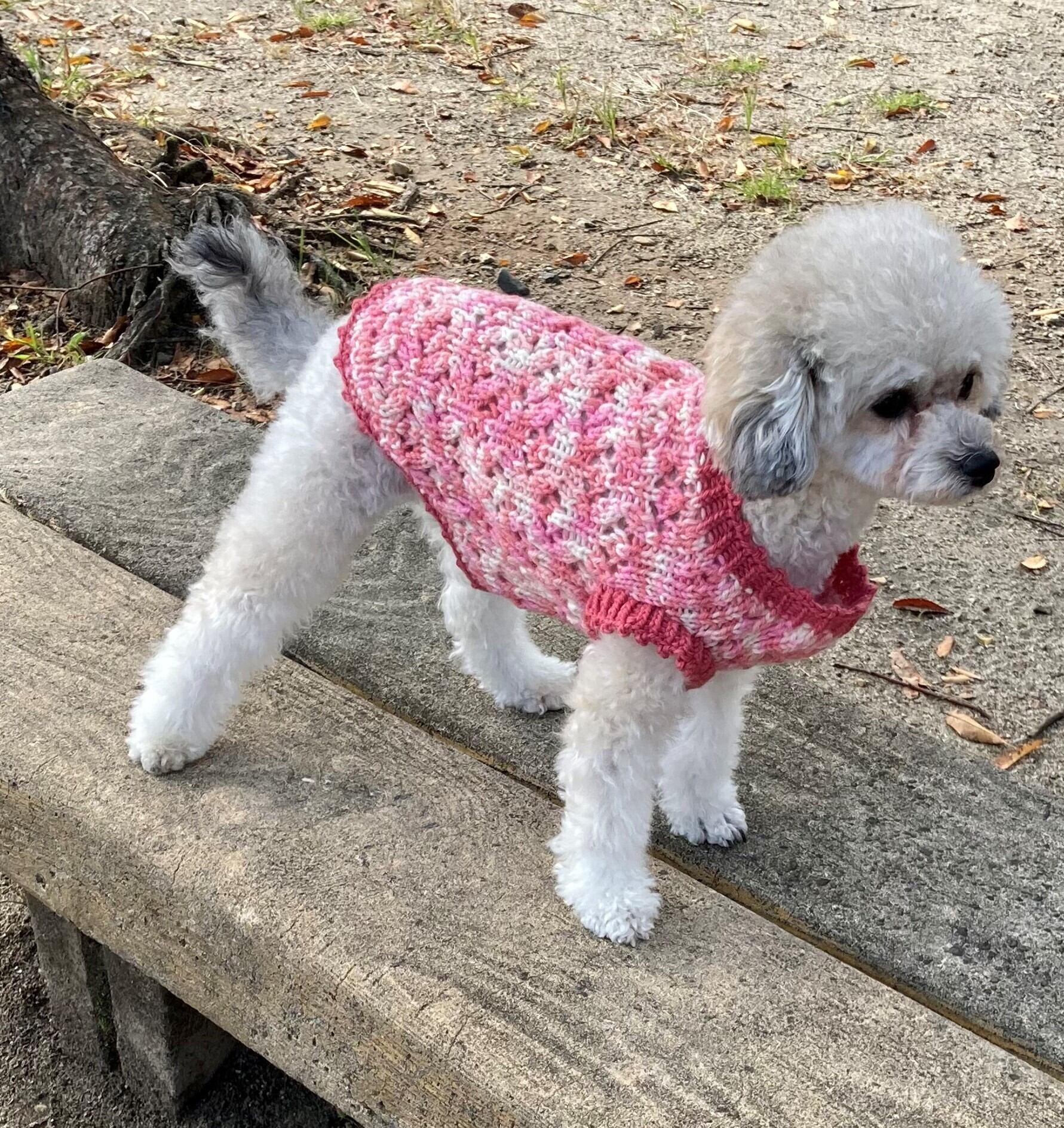 ☆犬服☆レースニットふんわりワンピースP. Sサイズ ☆犬服☆レースニットふんわりワンピースP. Sサイズ