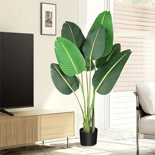 観葉植物 インテリア 空間デザイン ディスプレイ グリーン おしゃれ スタイリッシュ 屋内 リビング 寝室 書斎 玄関 空間演出