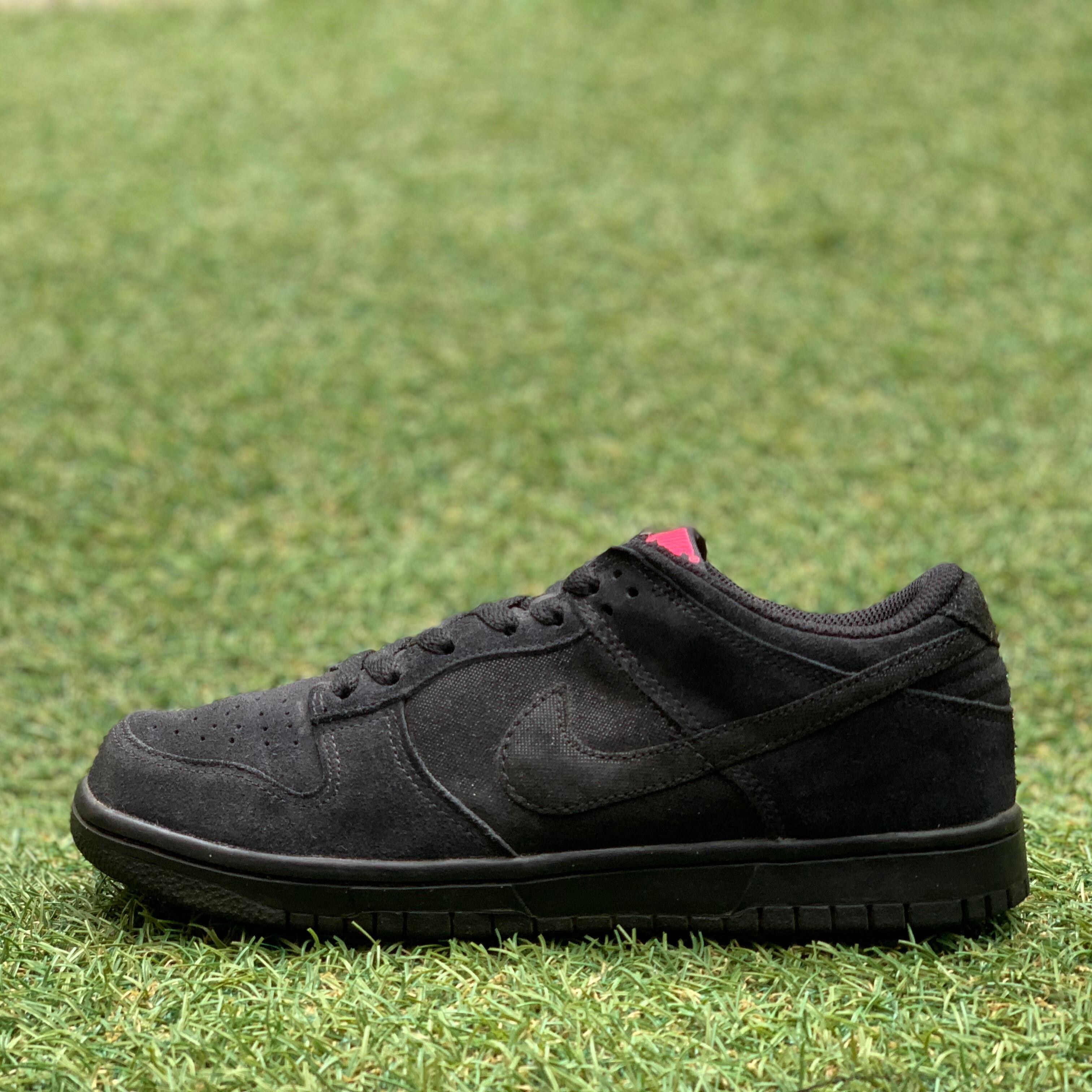 NIKE DUNK LOW 08 ナイキ ダンク ロー F19