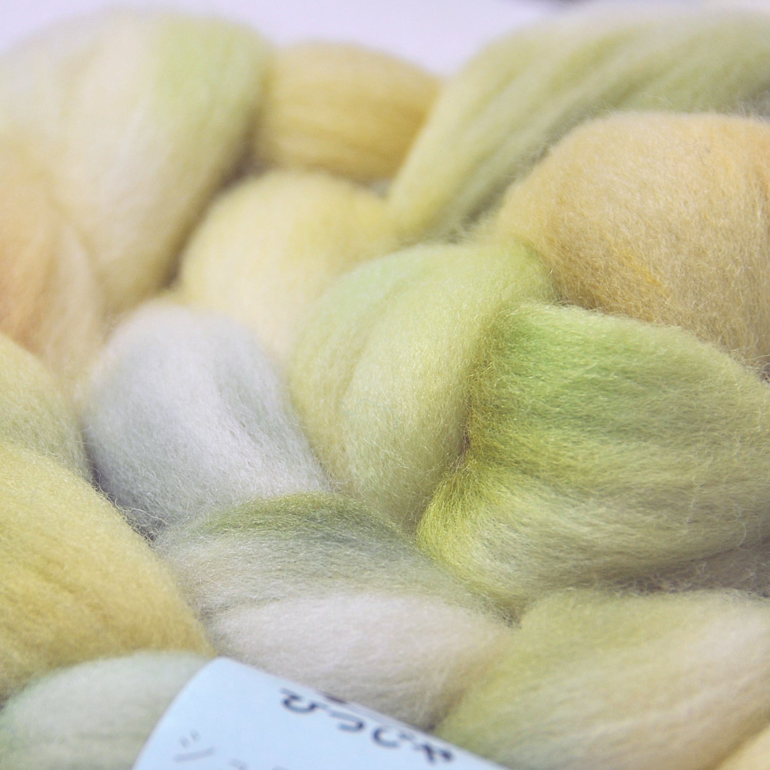 手染め羊毛【シュロプシャー・517】約120g | ひつじや