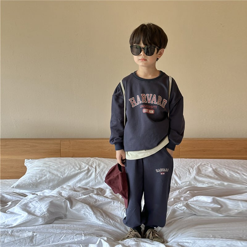 HARVARDセットアップ