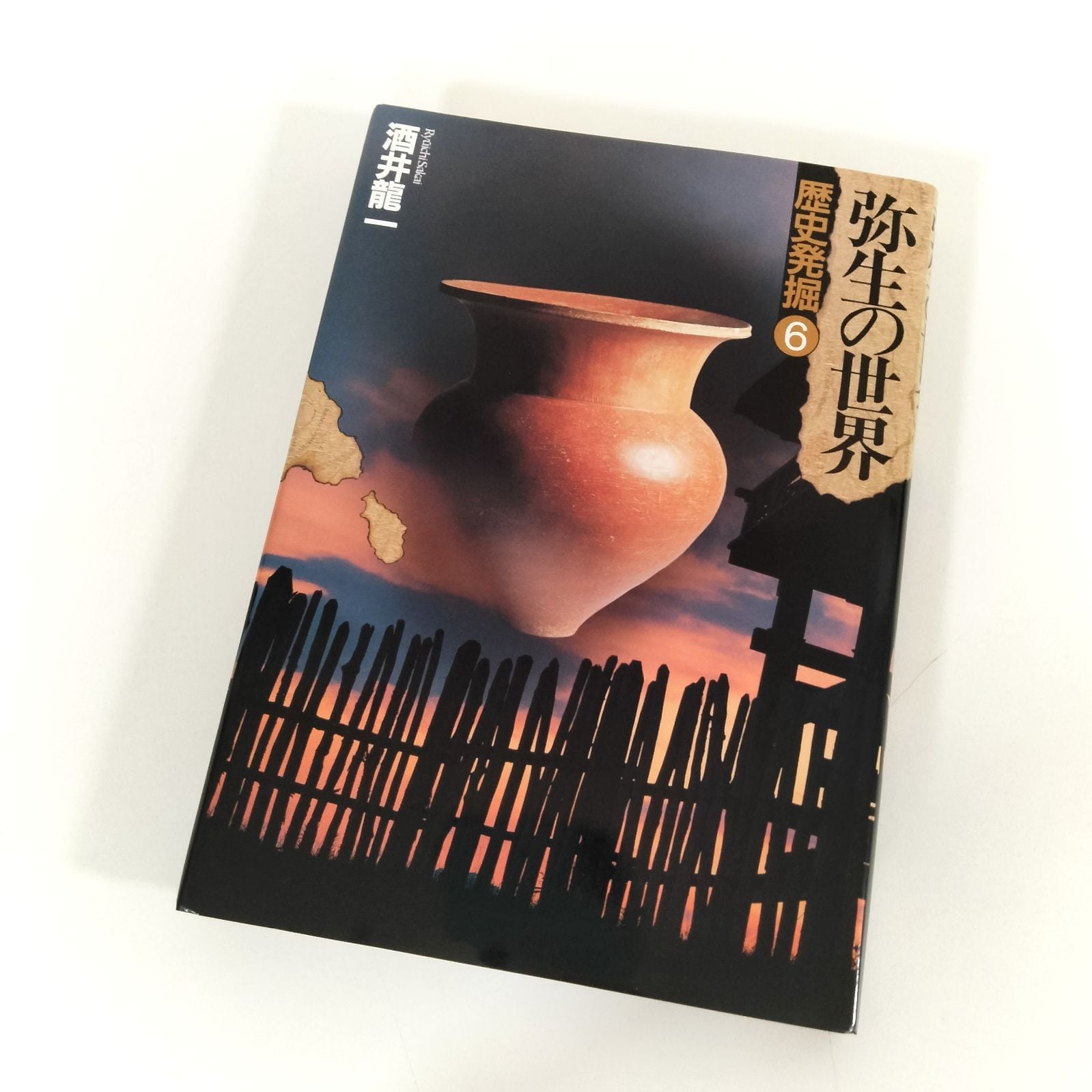 ラスト１枚　初回限定版とほかみプラズマ　ロゴストロン neten サクサク 値下げ中 初回限定版とほかみプラズマ ロゴストロン