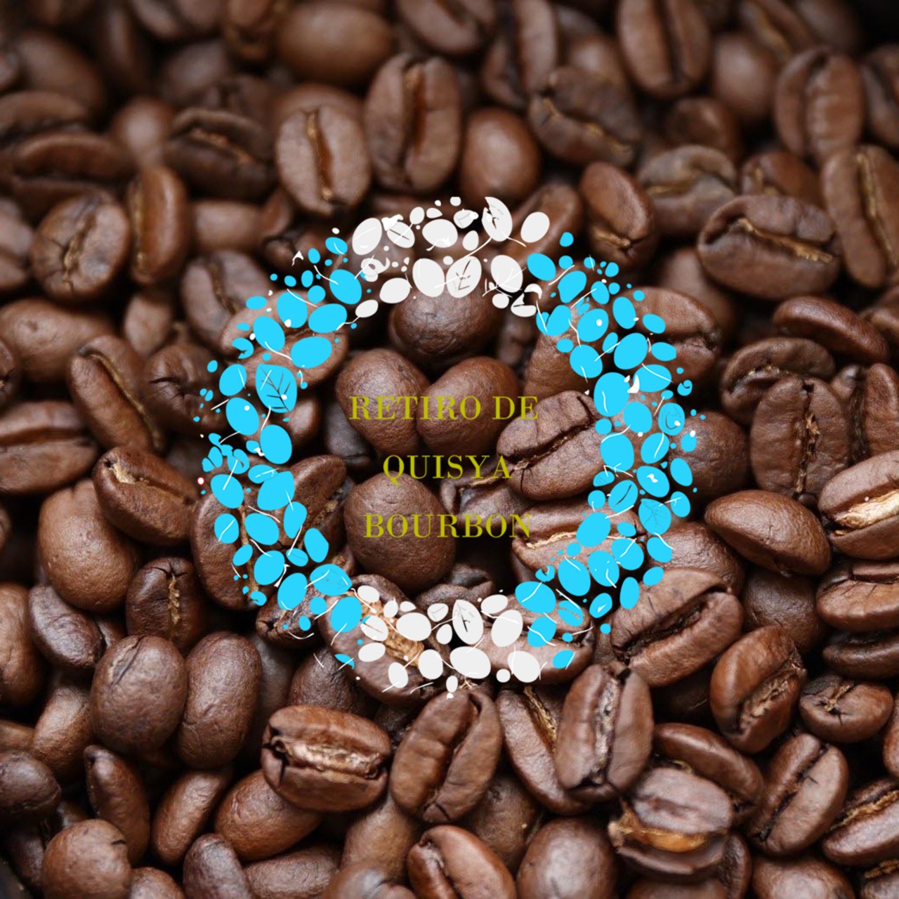 【300g】グァテマラ ・チマルテナンゴ レティロ・デ・キサヤ ブルボン