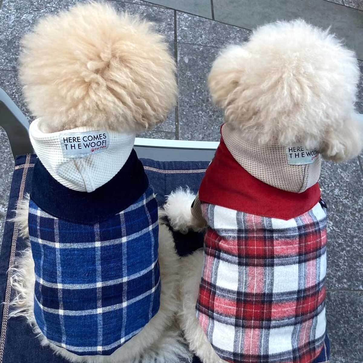 犬の服☆フワフワ気持ち良いワッフルニットのパーカーは良く伸びるので